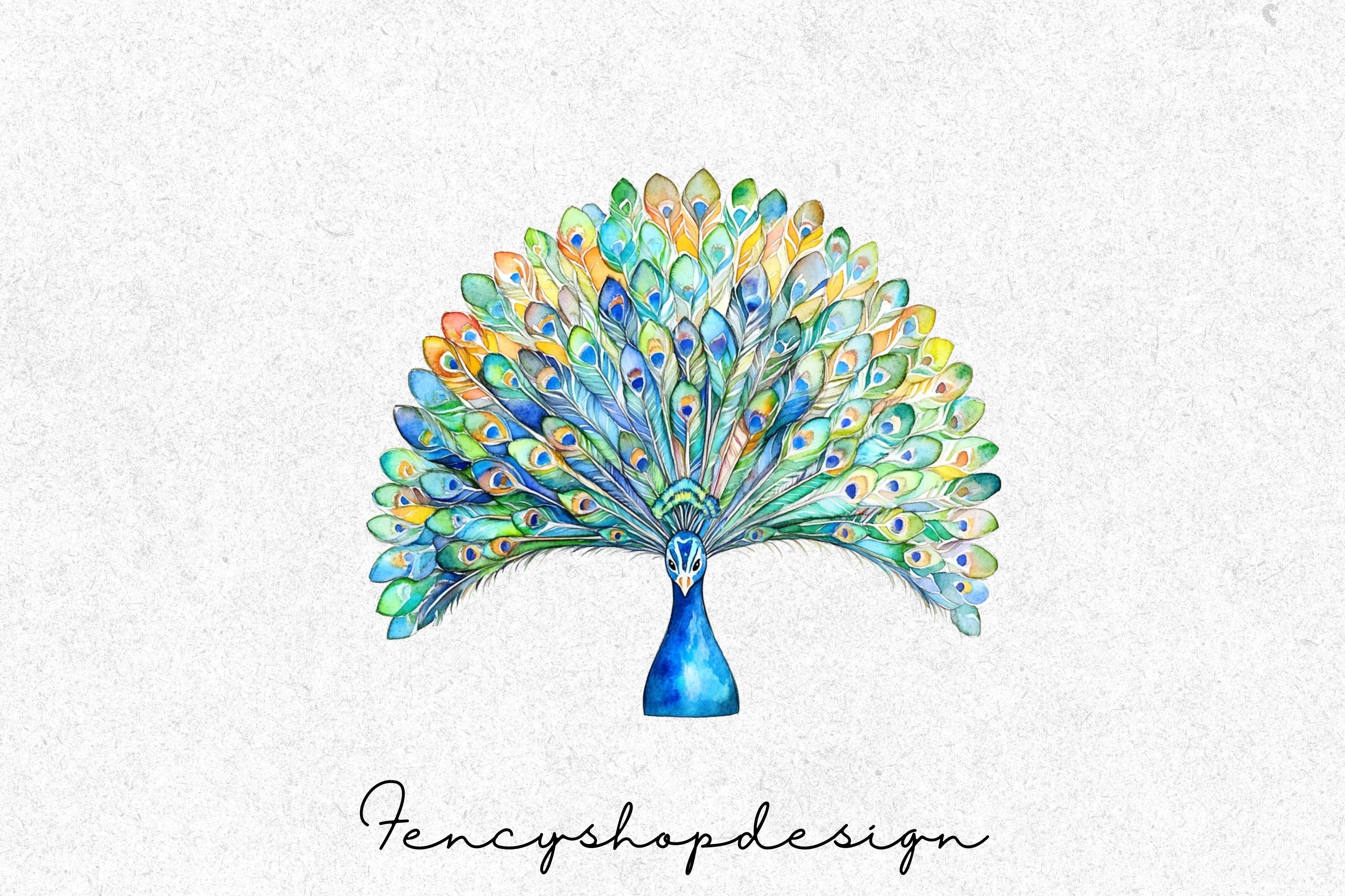 Elegant Peacock Feather Clipart Bundle
