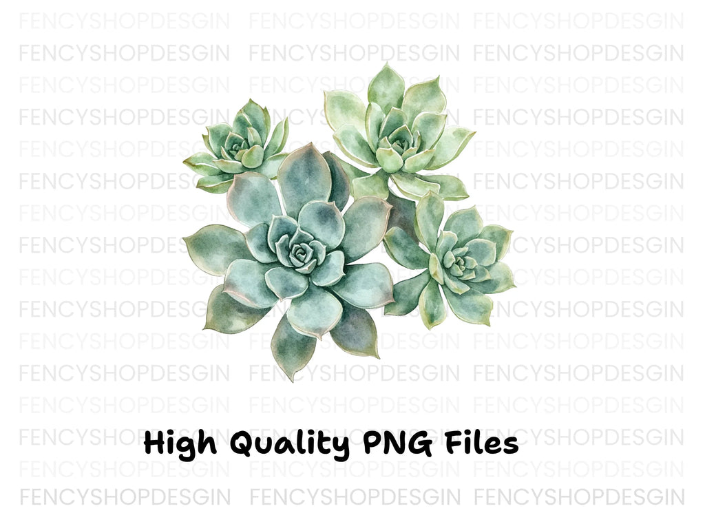 Lush Green Succulent Arrangement Clipart Bundle
