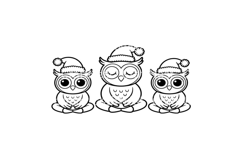 Festive Owls Christmas Coloring Books