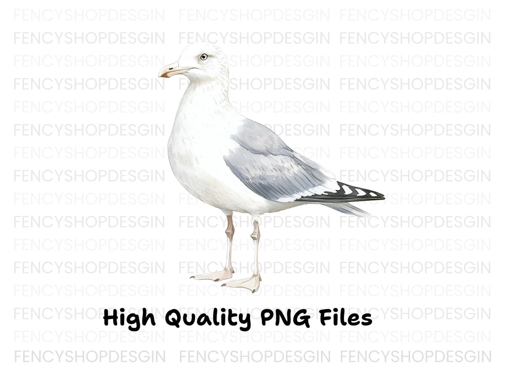 Seagull Side View Clipart Bundle