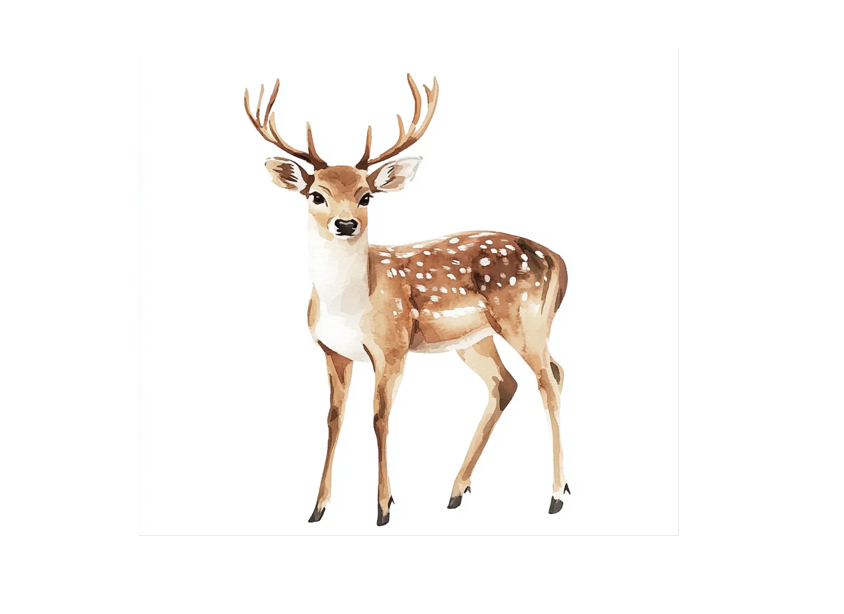 Geometric Deer Clipart Bundle