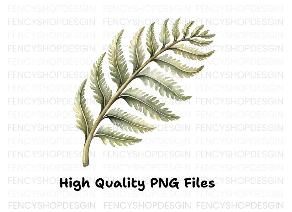 Fern Leaves Clipart Bundle