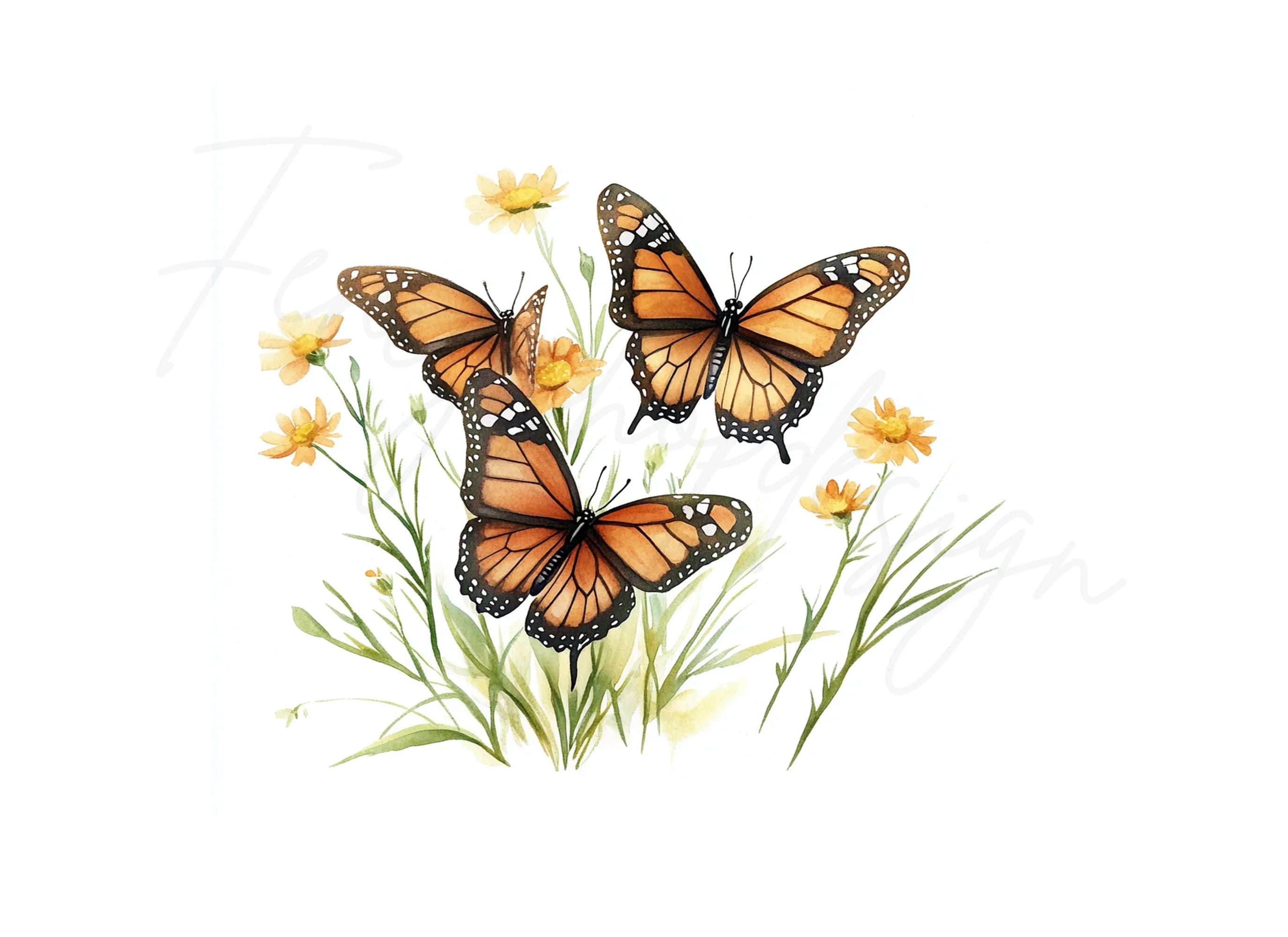 Monarch Butterflies and Flowers Clipart Bundle