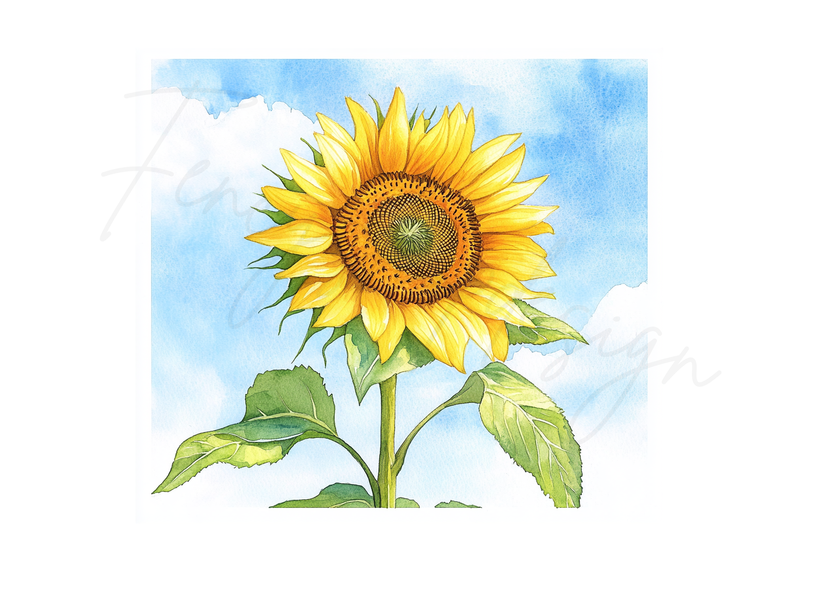 Bright Sunflower Illustrations Clipart Bundle