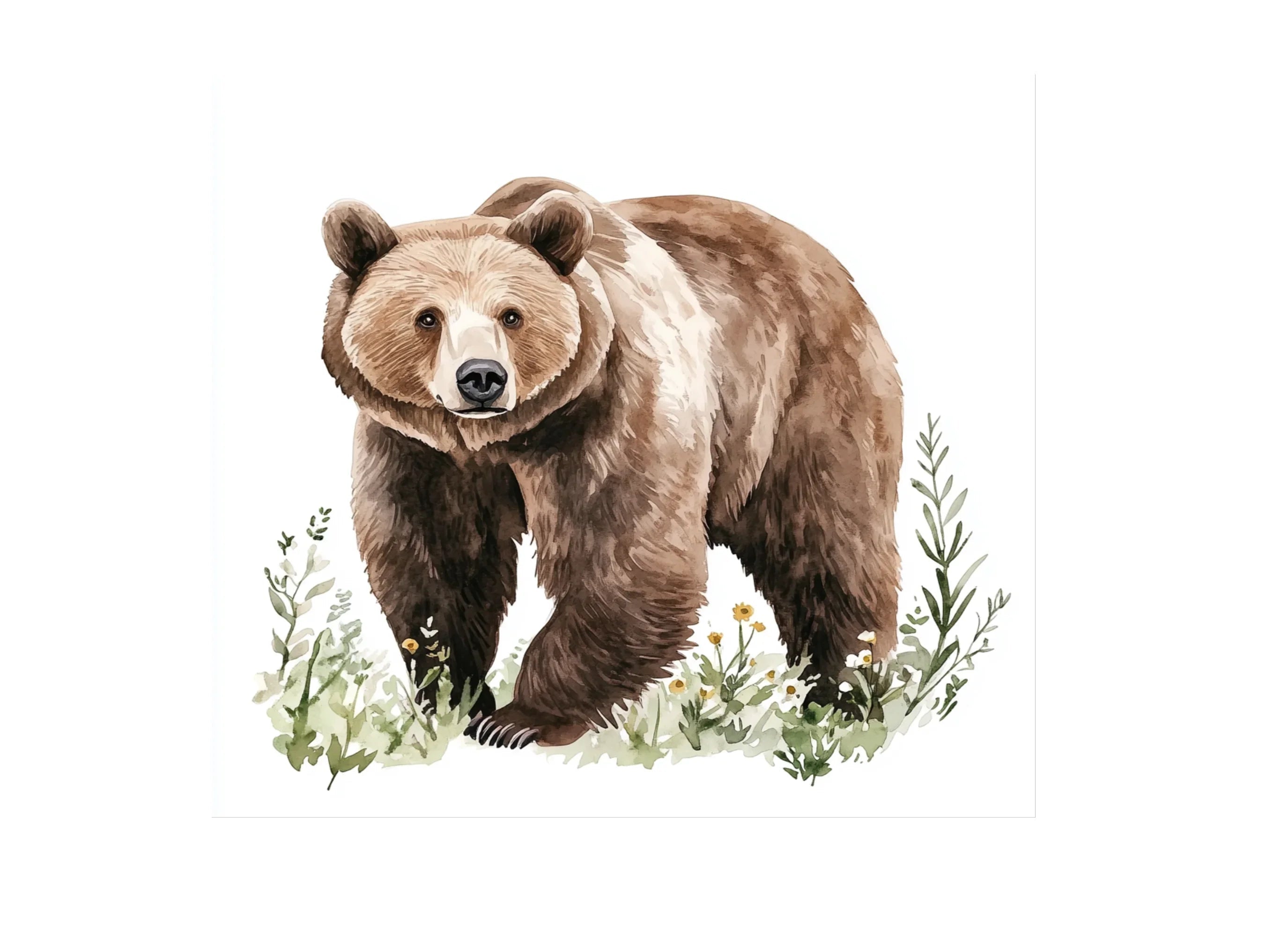Realistic Grizzly Bear Clipart Bundle