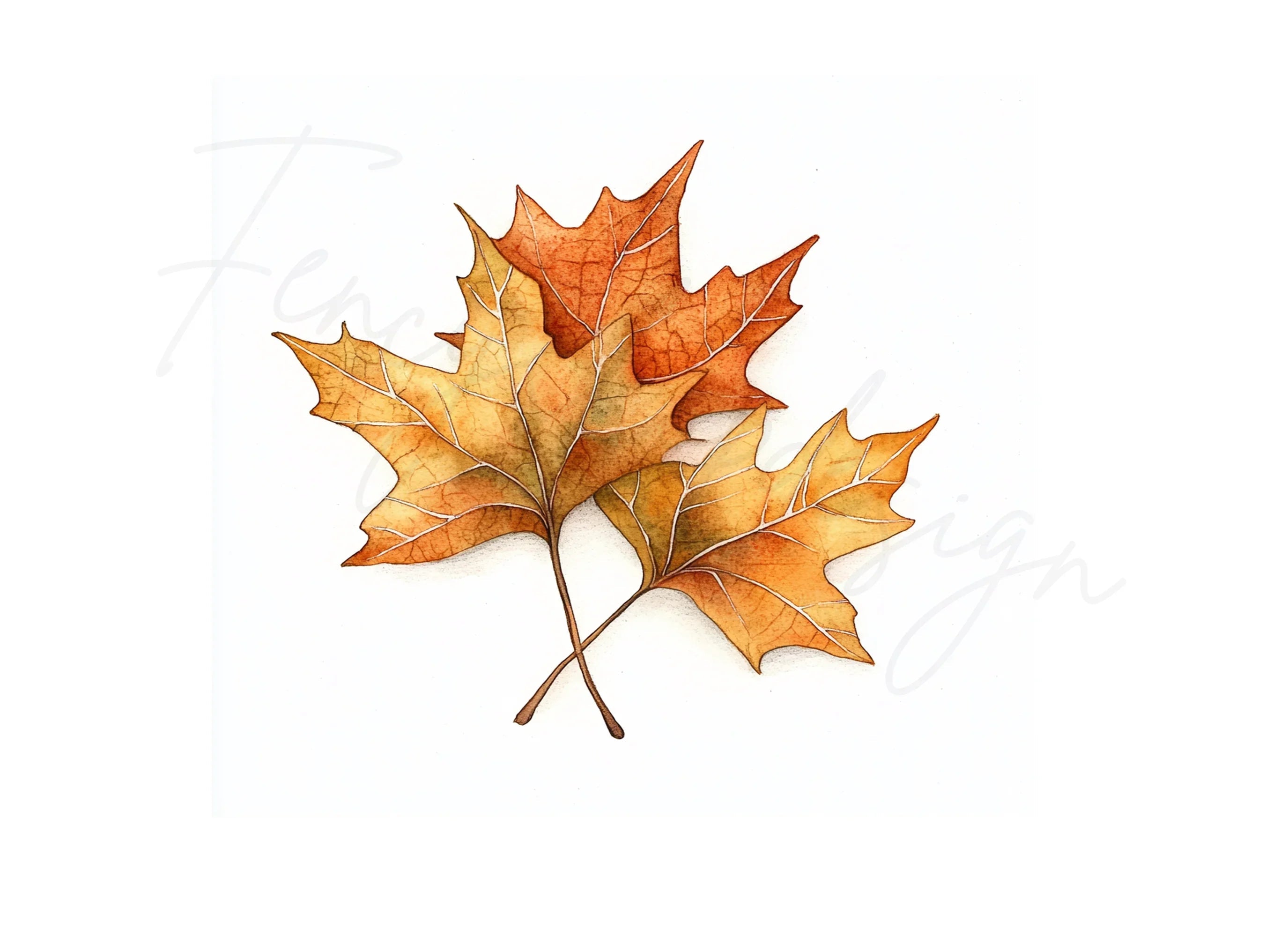 Autumn Maple Leaves Clipart Bundle