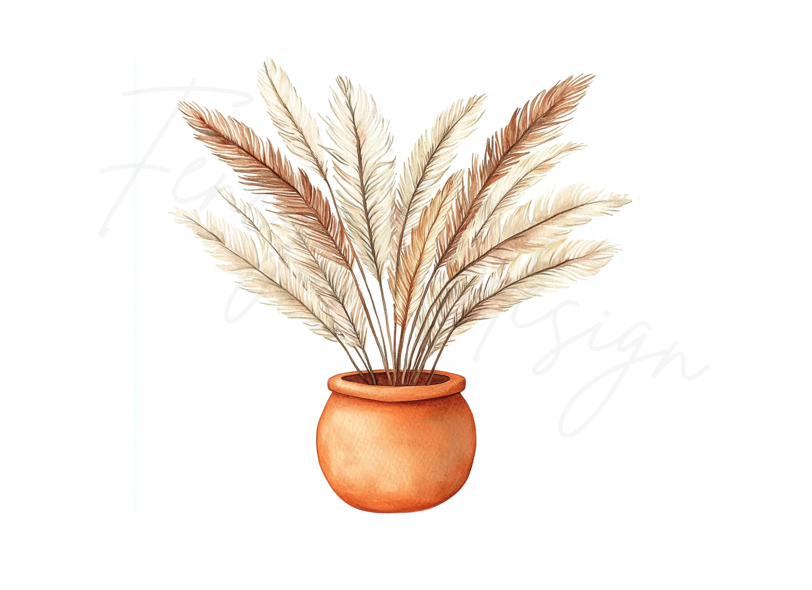 Pampas Grass in Terracotta Pots Clipart Bundle