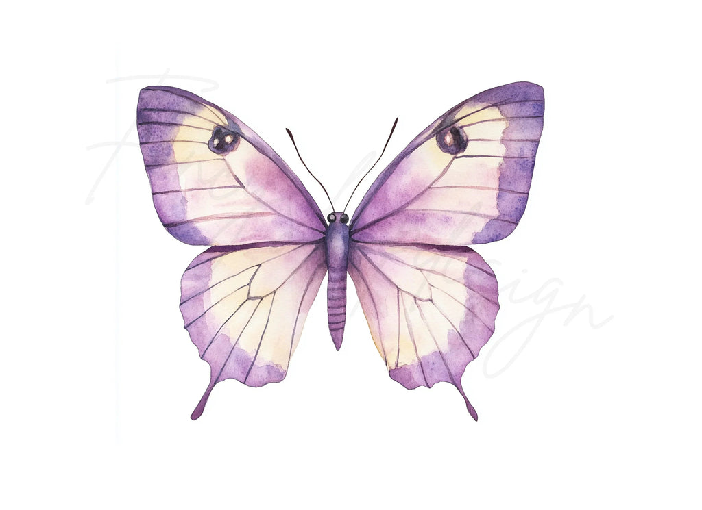 Elegant Butterfly Clipart Bundle