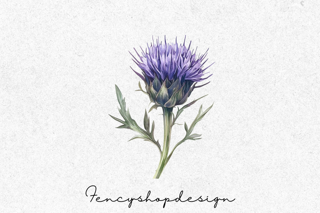 Scottish Thistle Clipart Bundle