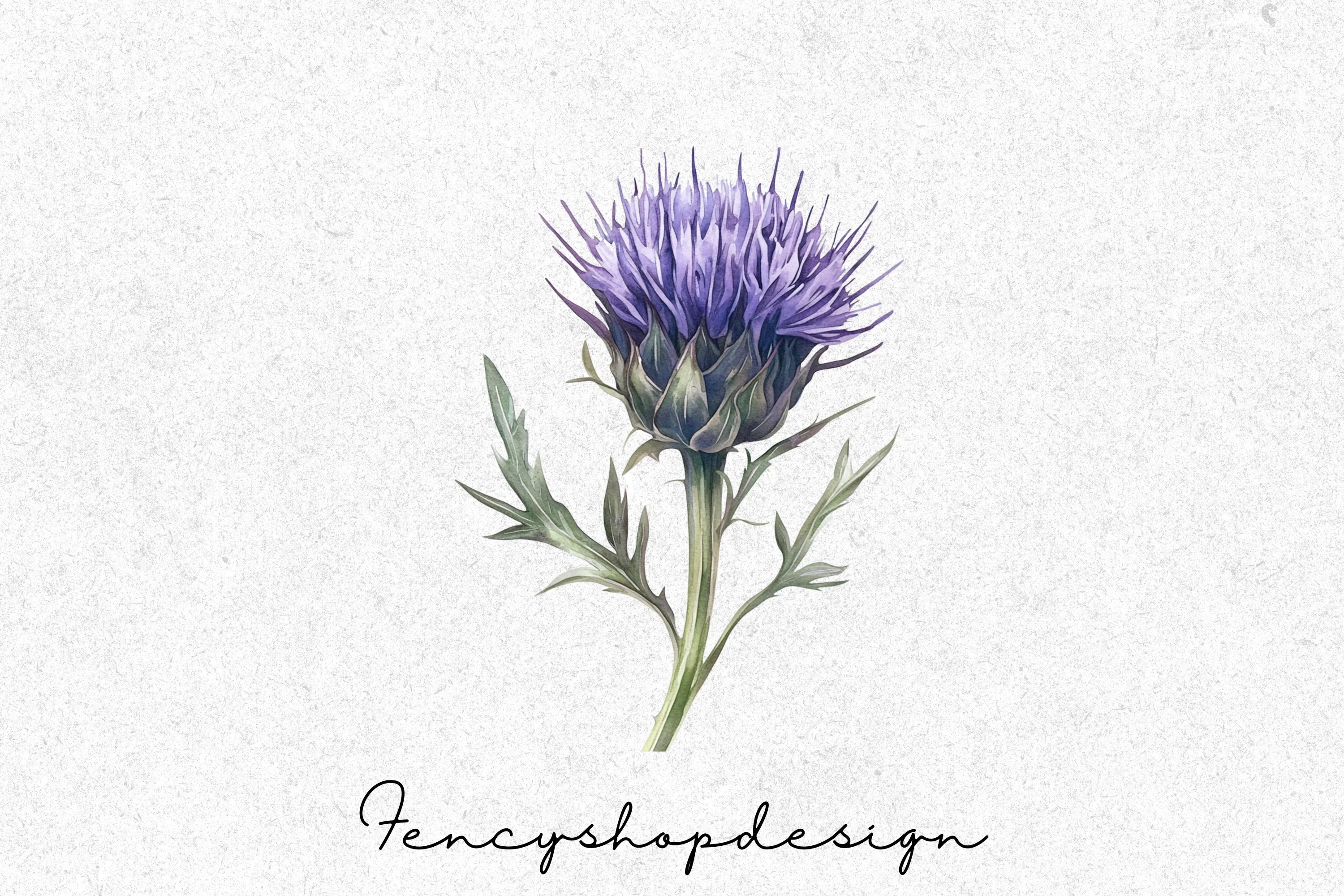 Scottish Thistle Clipart Bundle