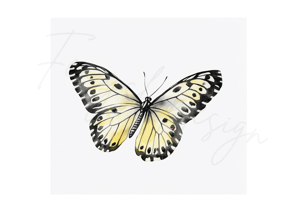 Monochromatic Butterfly Clipart Bundle