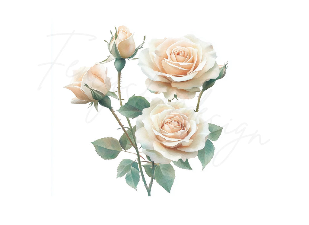 Elegant White Rose Clipart Bundle