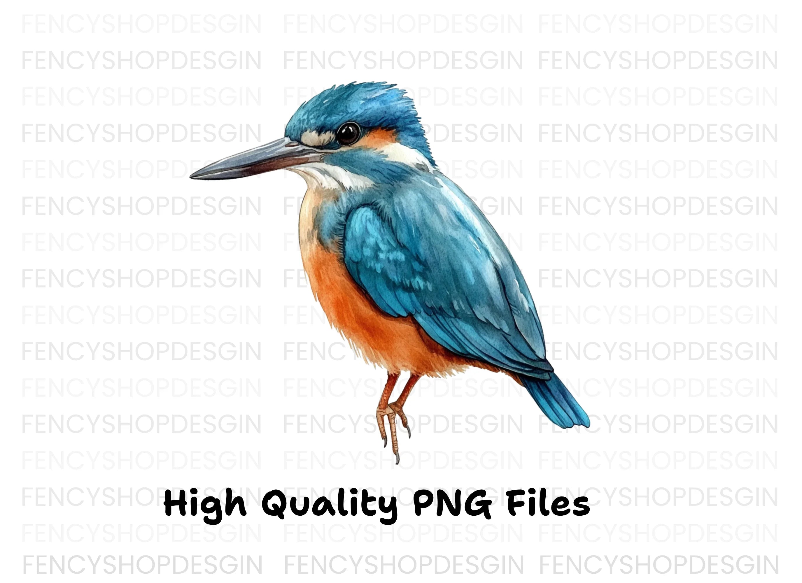 Vibrant Kingfisher Clipart Bundle