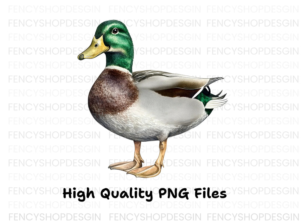 Mallard Duck Clipart Bundle