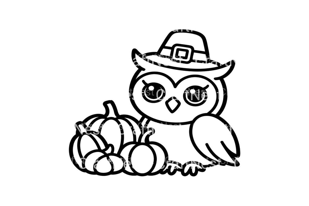 Thanksgiving Owl and Pumpkins Coloring Books