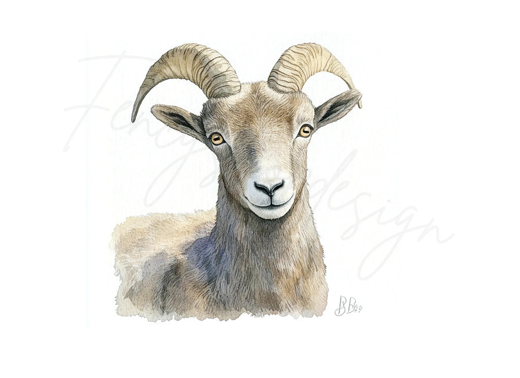 Bighorn Sheep Portrait Clipart Bundle