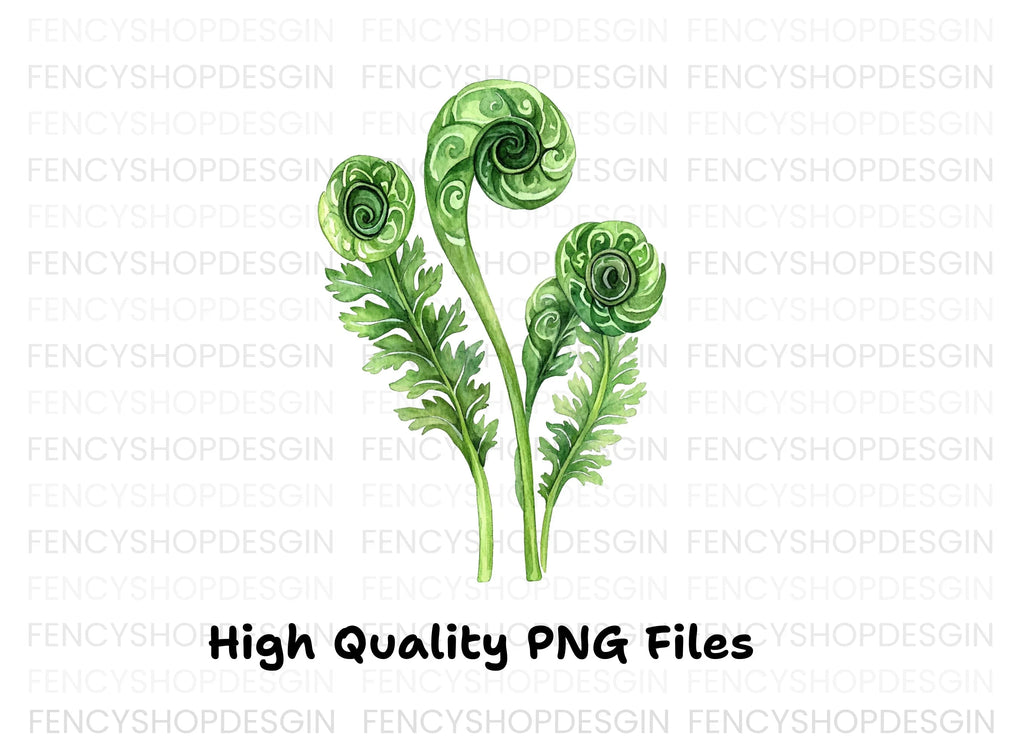 Fiddlehead Ferns Clipart Bundle