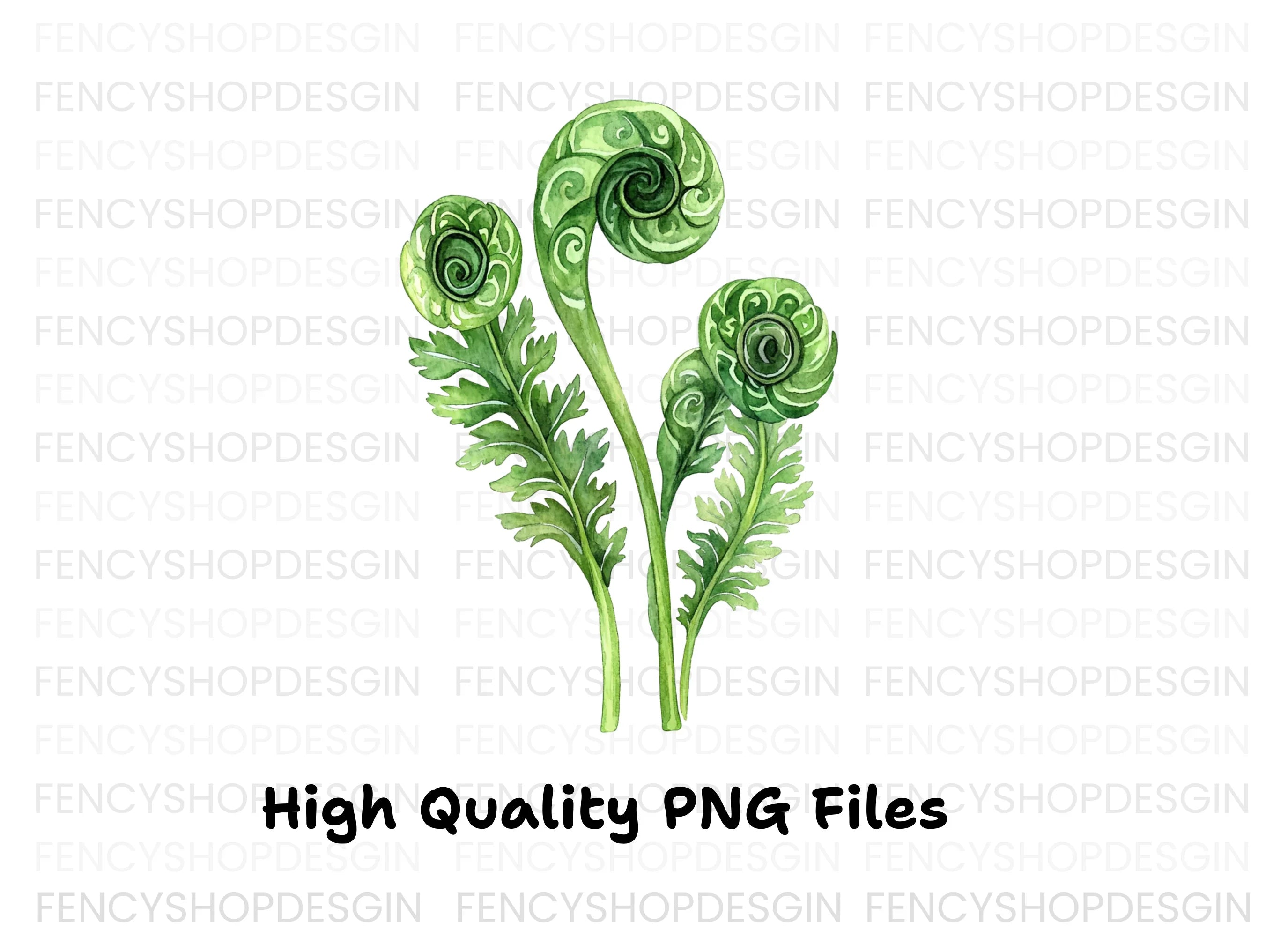 Fiddlehead Ferns Clipart Bundle