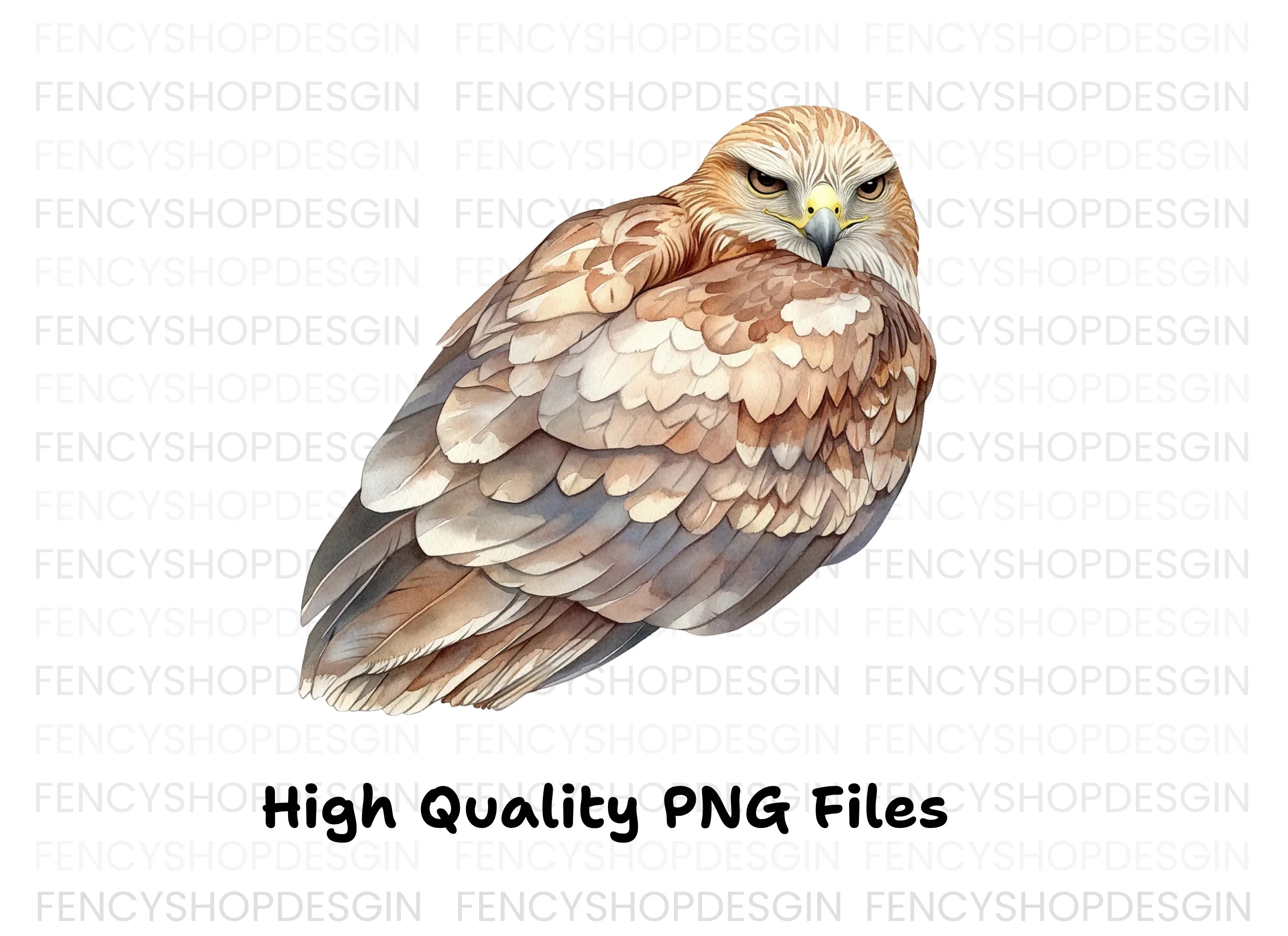 Fierce Hawk Illustration Clipart Bundle