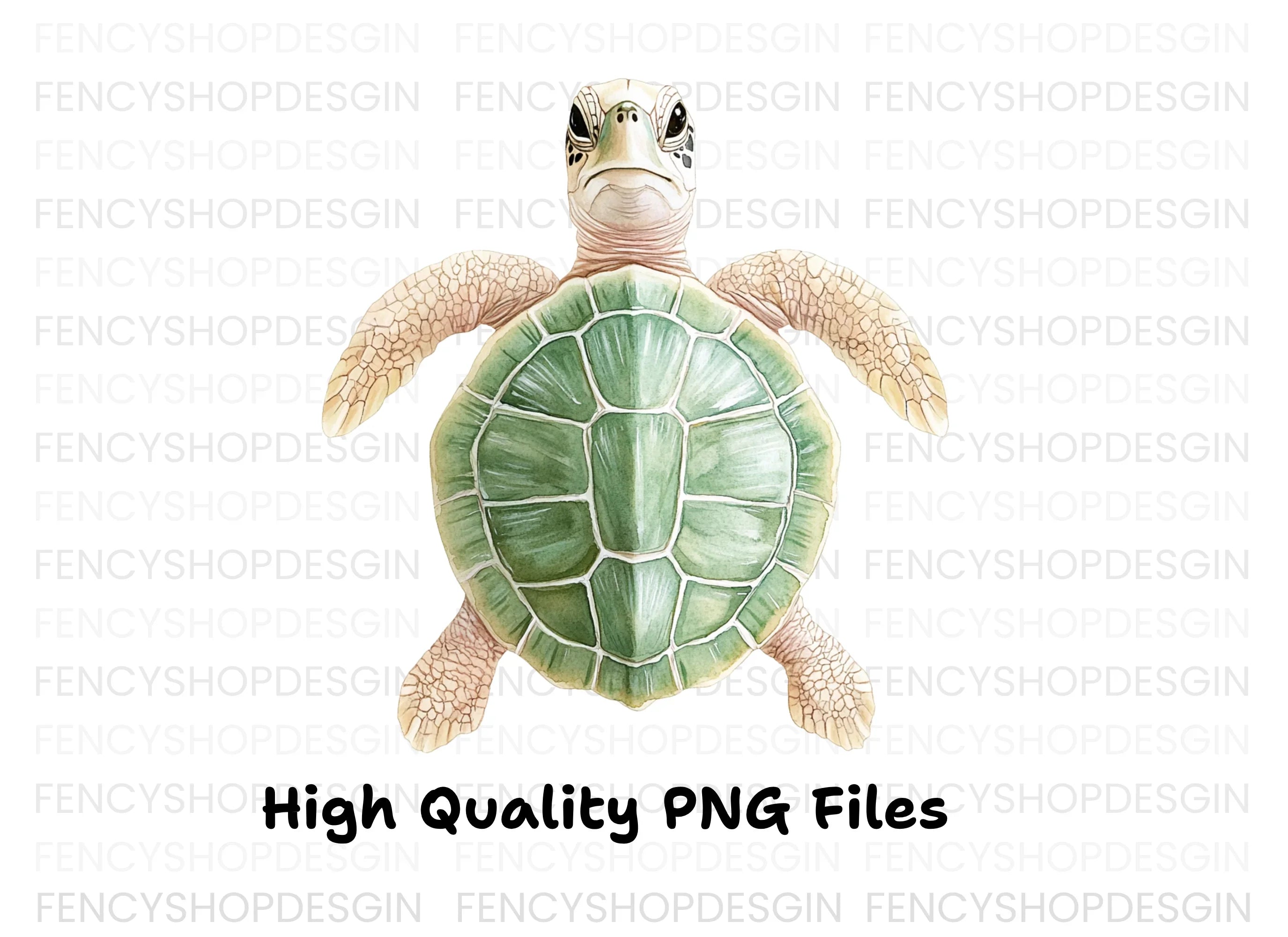 Adorable Baby Sea Turtle Clipart Bundle