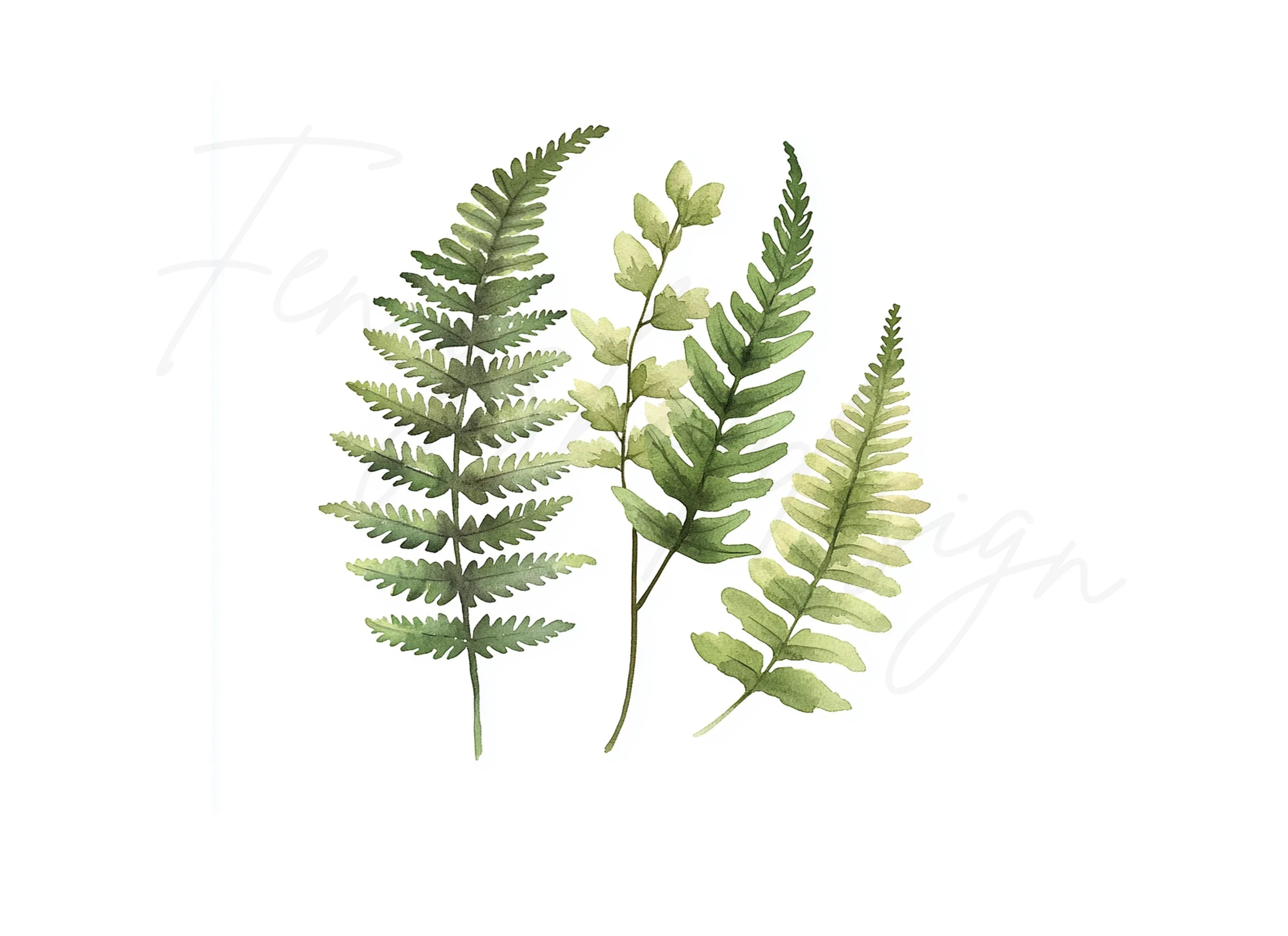 Green Fern Foliage Clipart Bundle