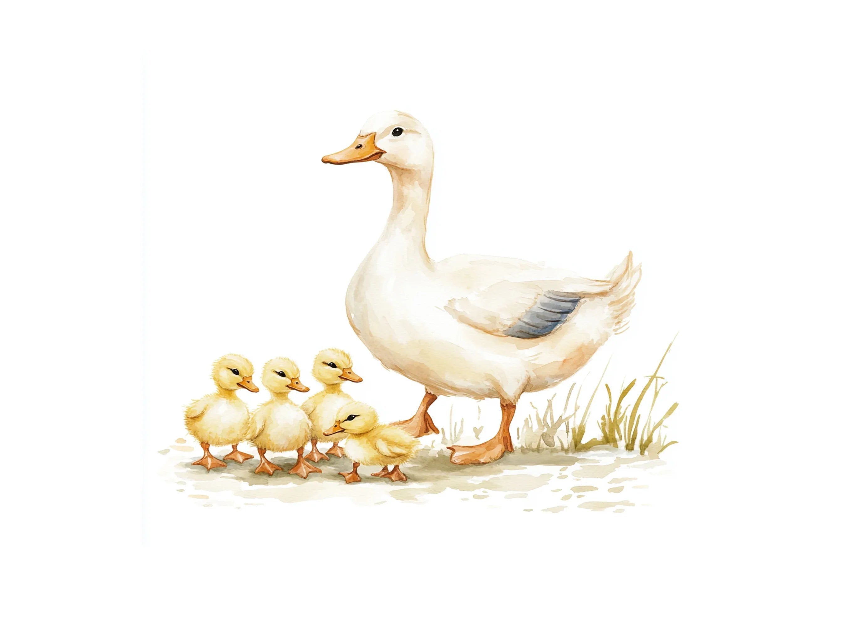 Cute Duck Family Clipart Bundle