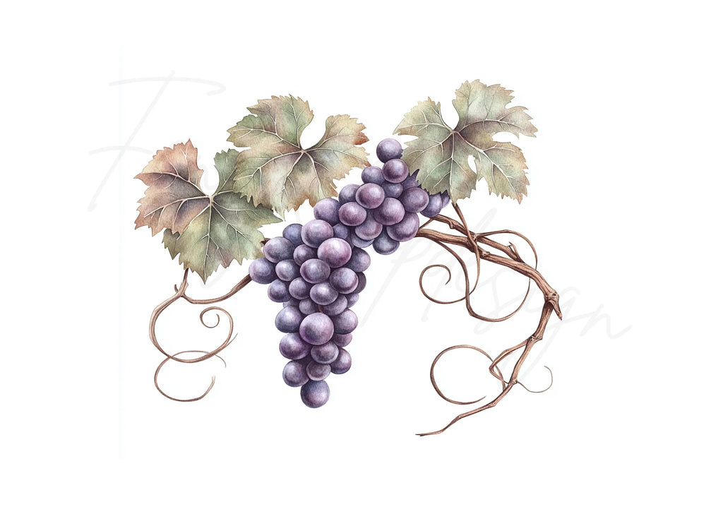 Elegant Grape Cluster Clipart Bundle
