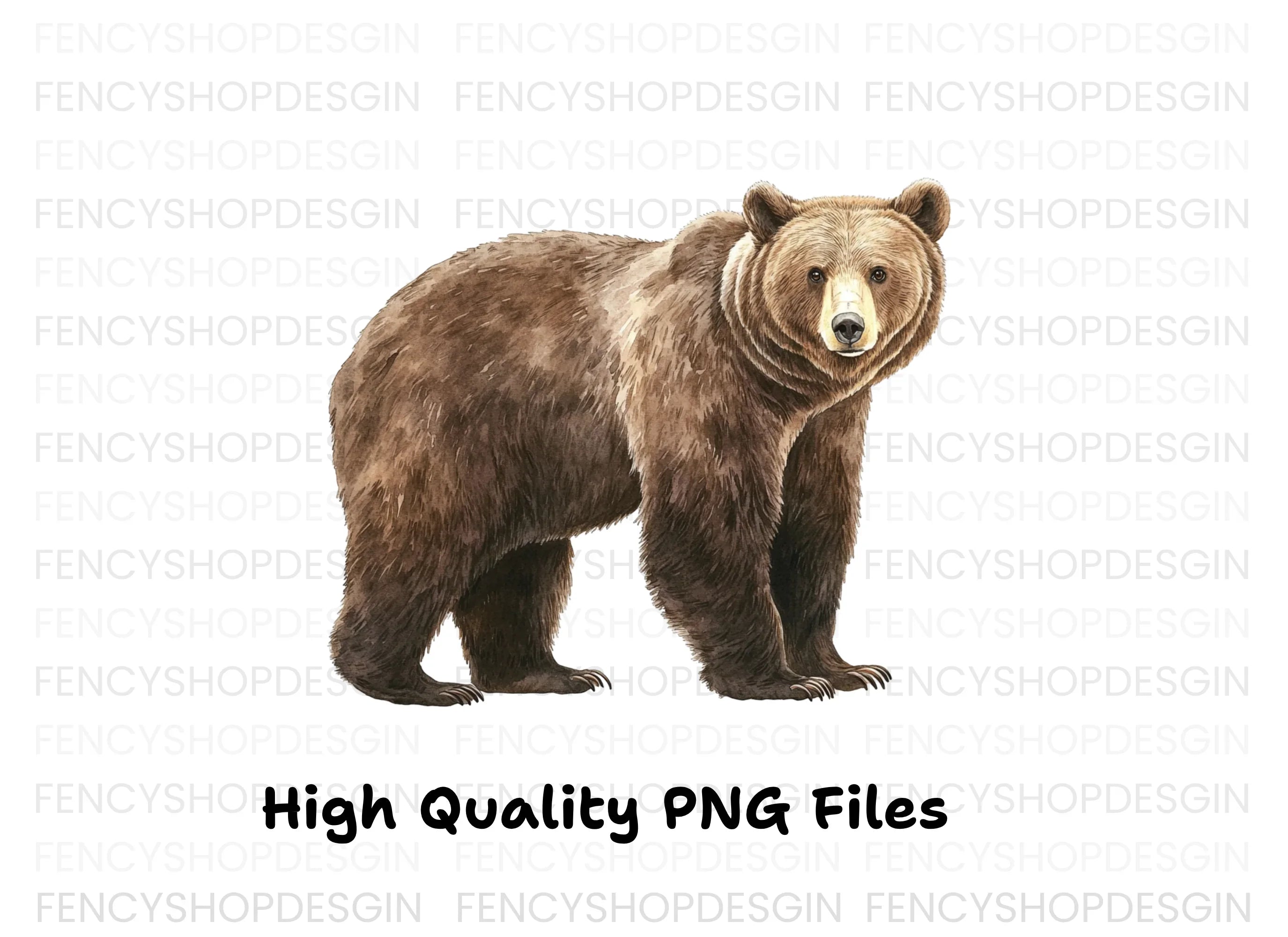 Realistic Grizzly Bear Clipart Bundle