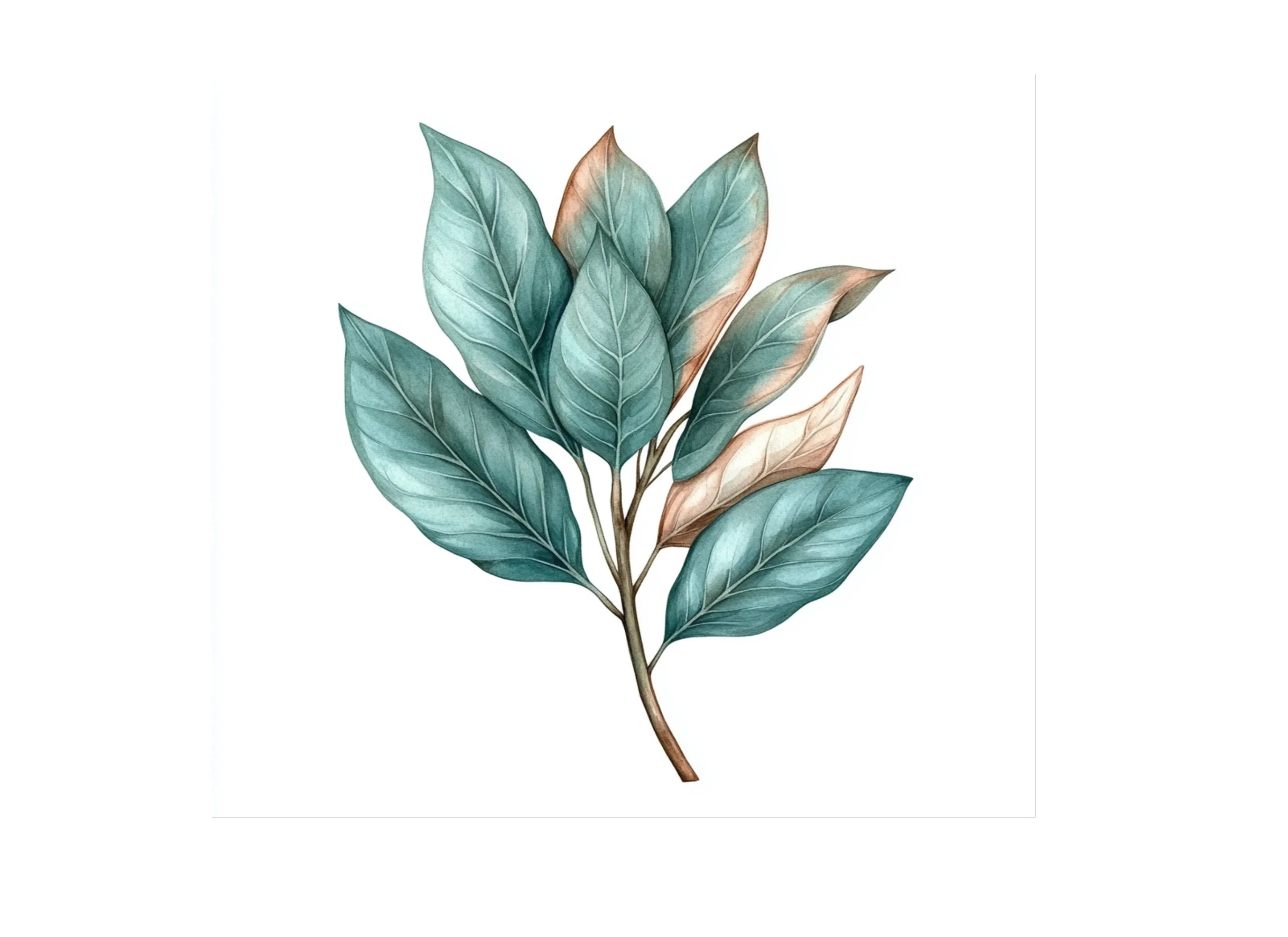 Leaf Clipart Bundle