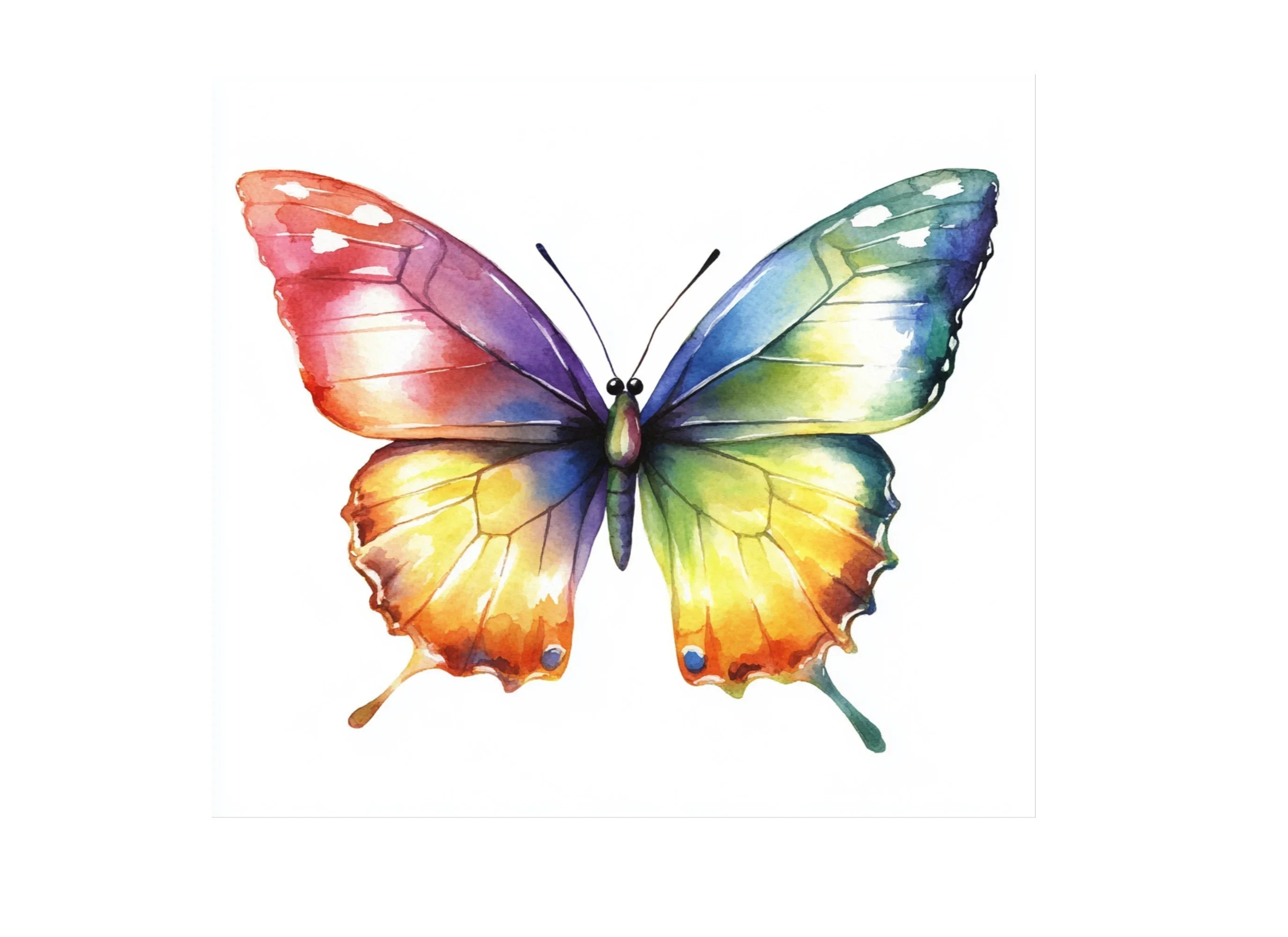 Vibrant Butterfly Clipart Bundle