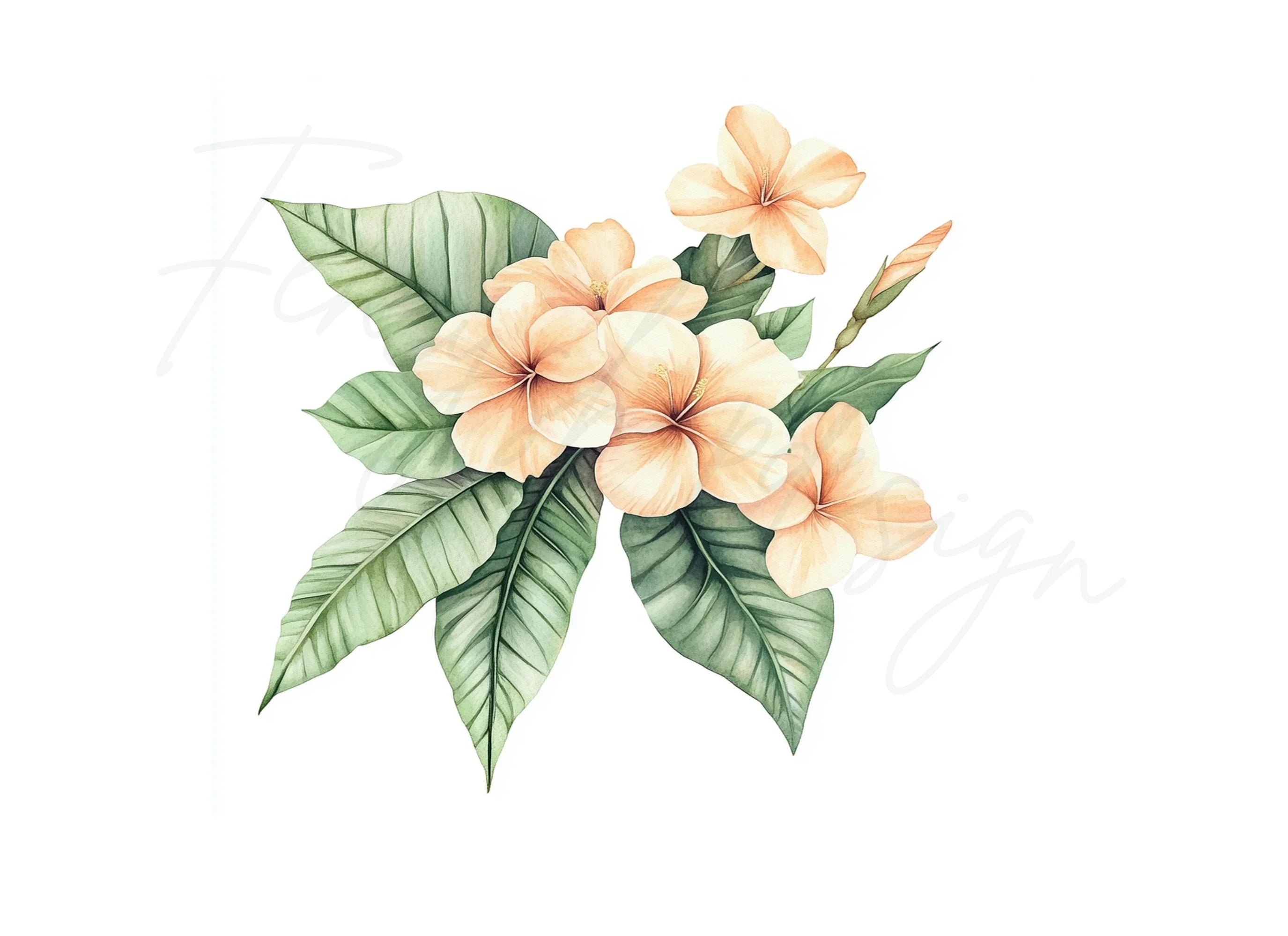 Hibiscus and Tropical Leaves Clipart Bundle