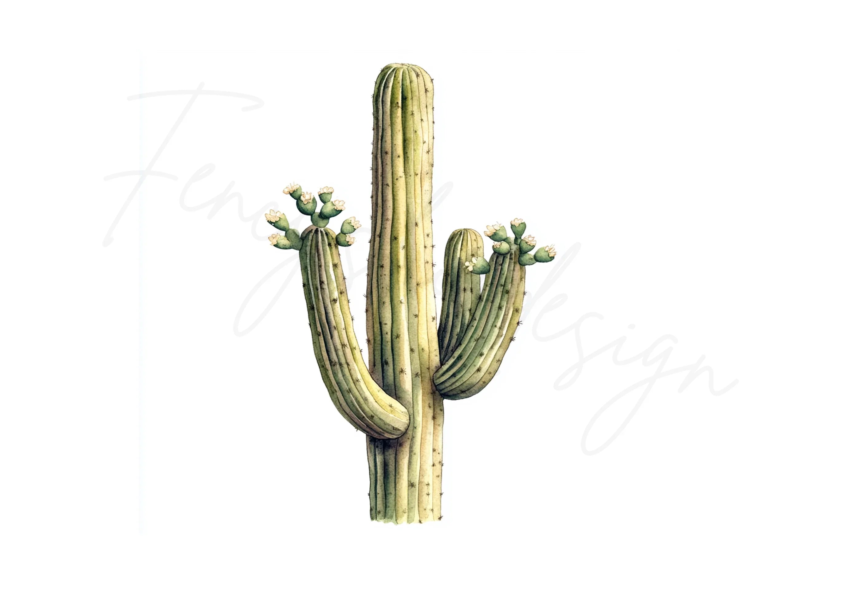 Flowering Saguaro Cactus Clipart Bundle