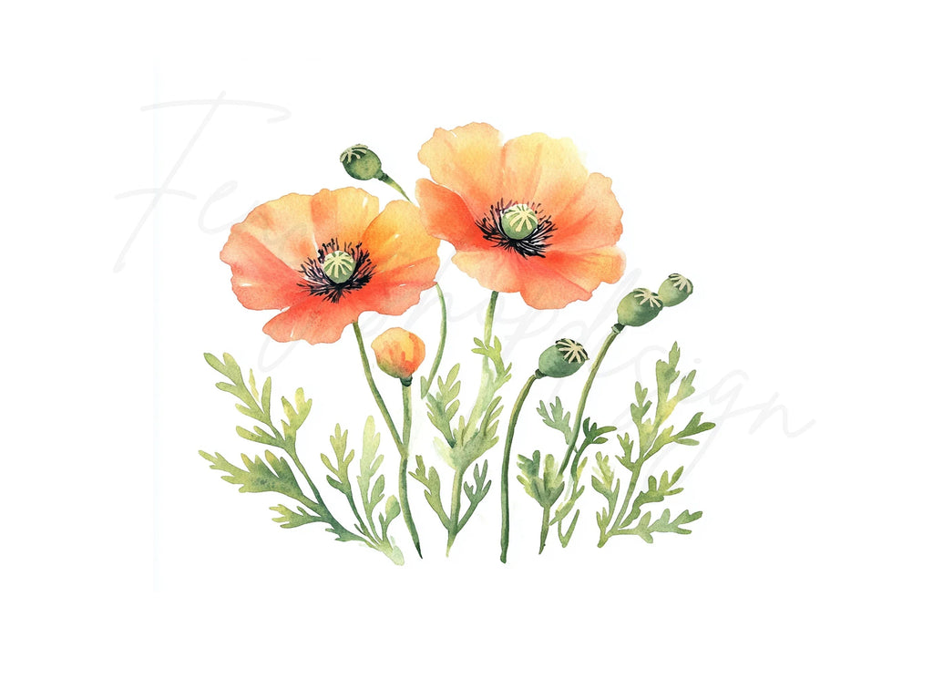 Vibrant Poppy Field Clipart Bundle