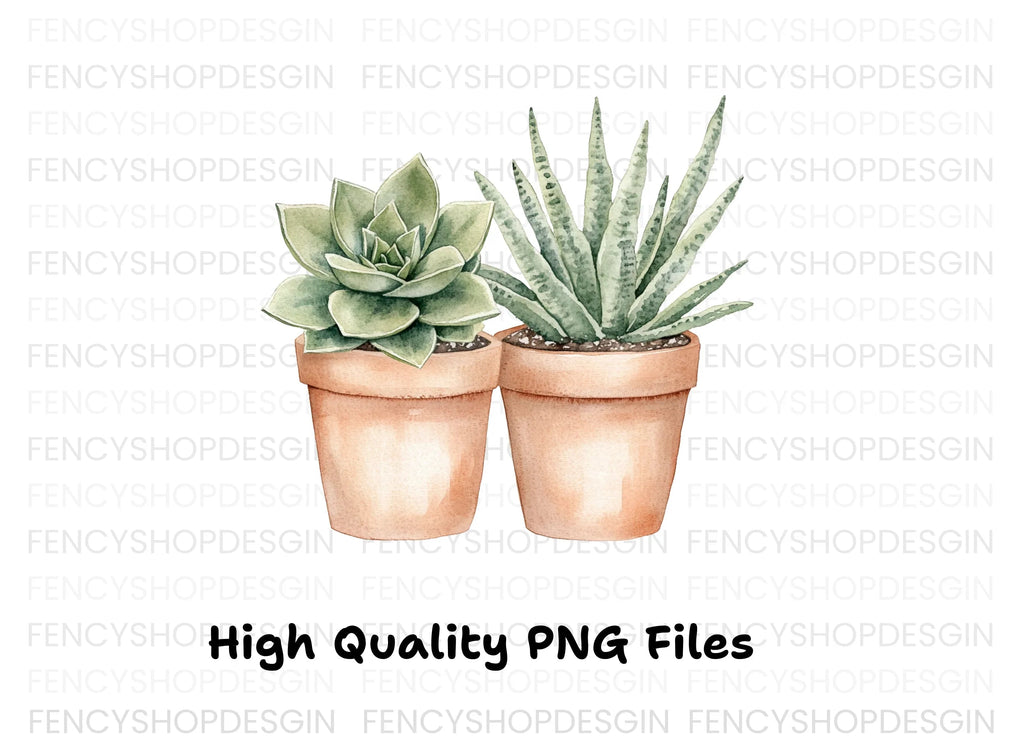 Succulent Plants Clipart Bundle