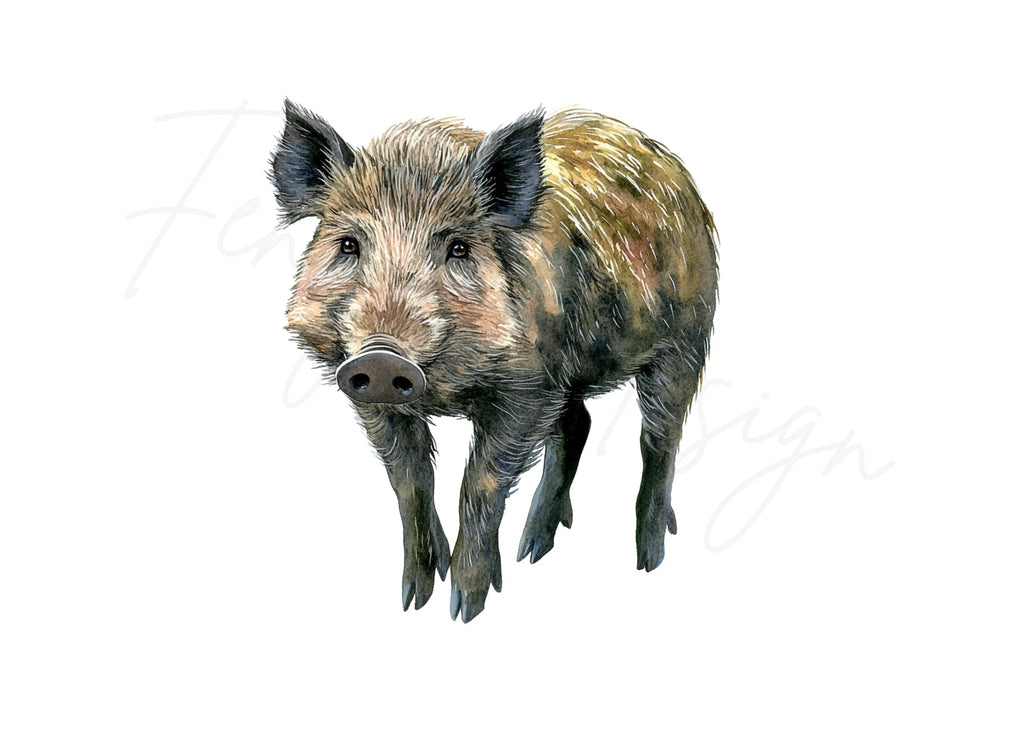 Wild Boar Clipart Bundle