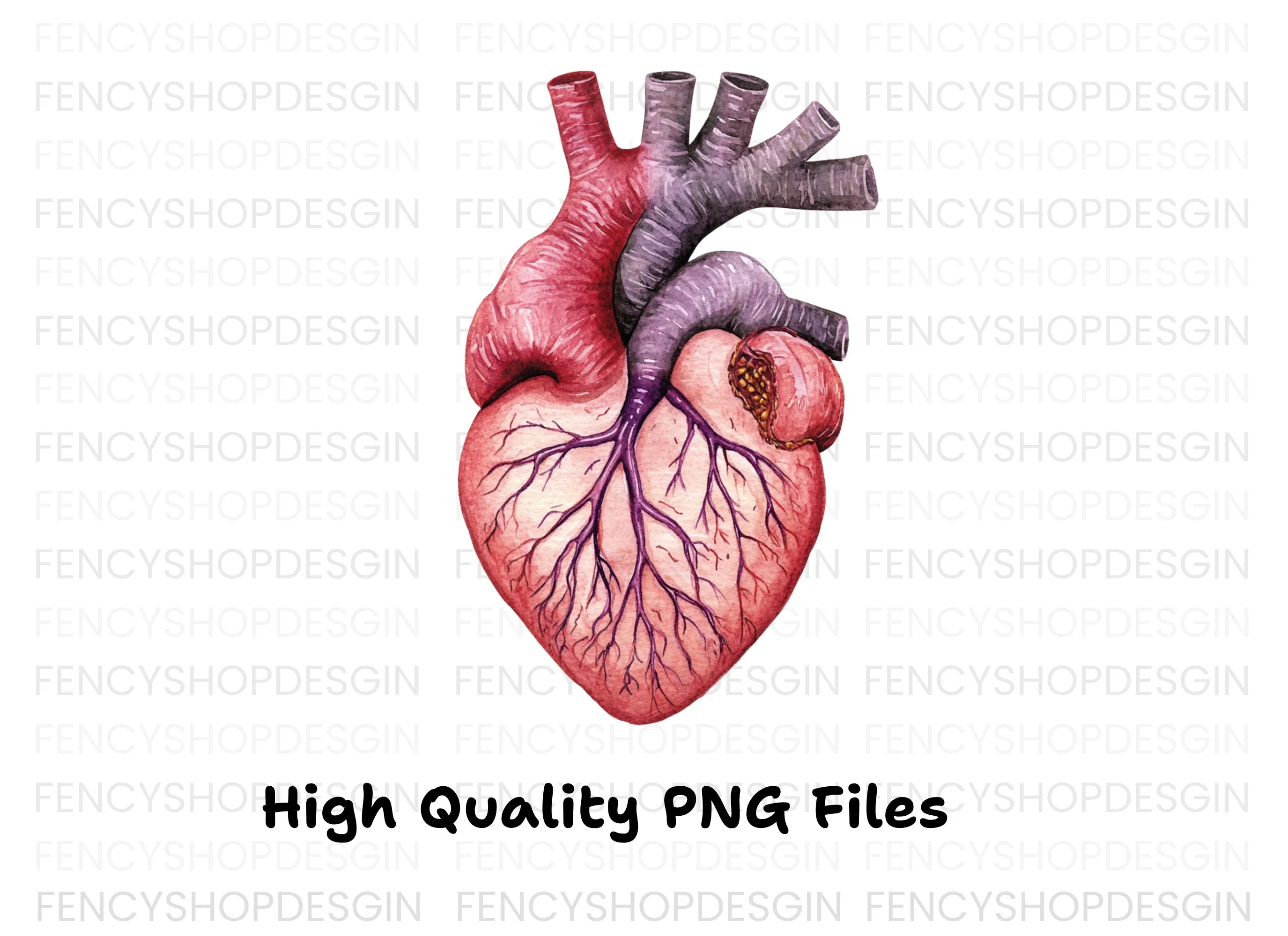 Anatomical Human Heart Clipart Bundle