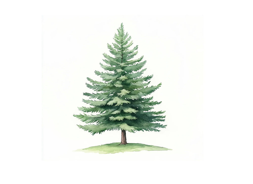 Pine Tree Clipart Bundle