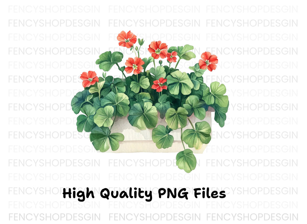 Geraniums in Pots Clipart Bundle