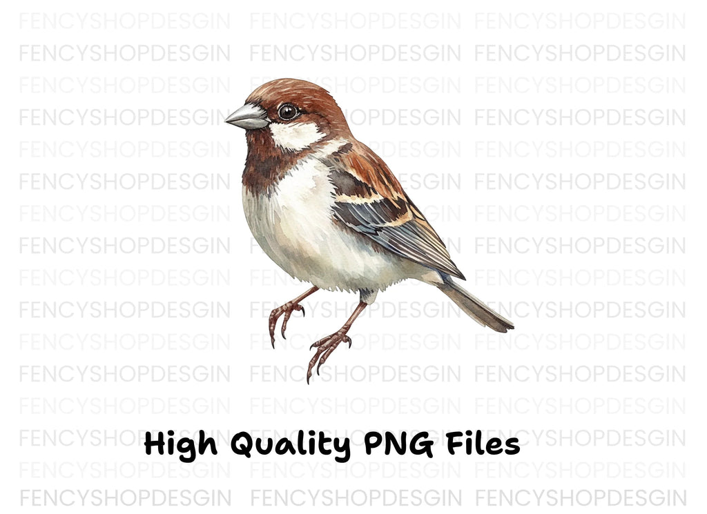 Realistic Sparrow Bird Clipart Bundle