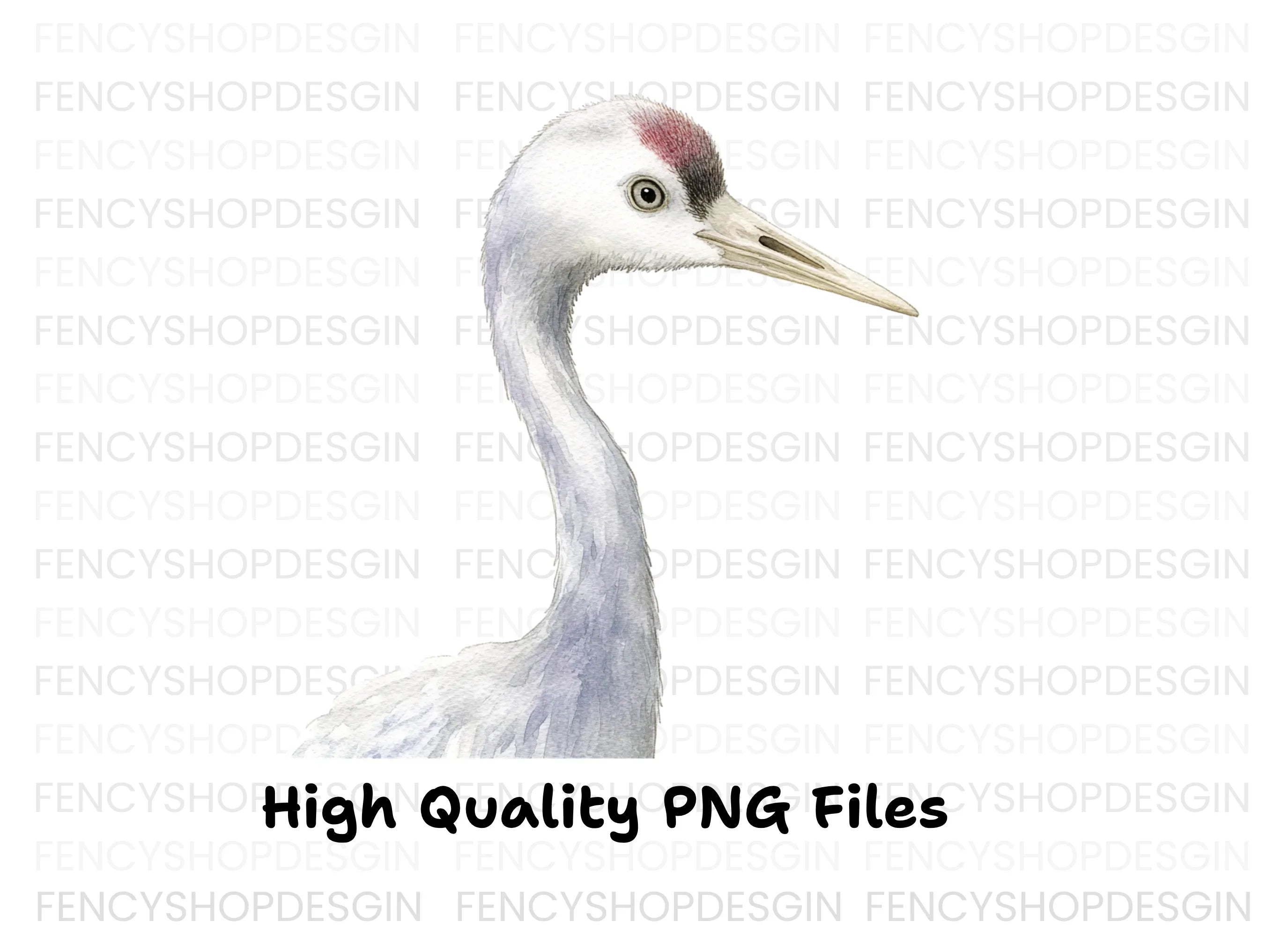 Elegant Crane Heads Clipart Bundle