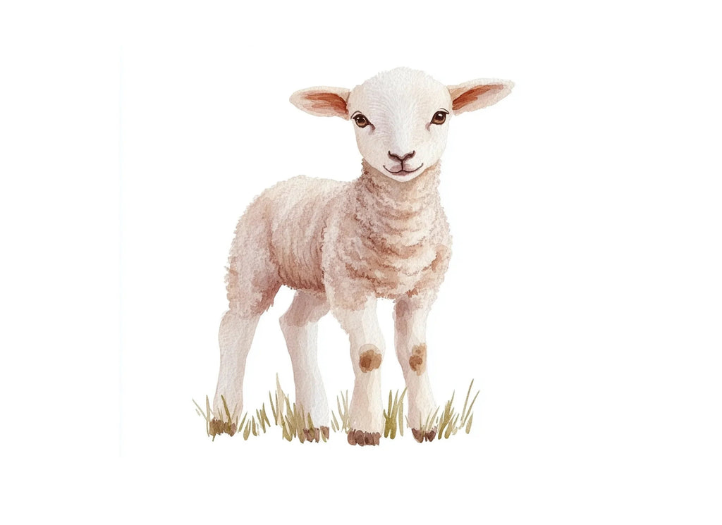 Lamb Clipart Bundle