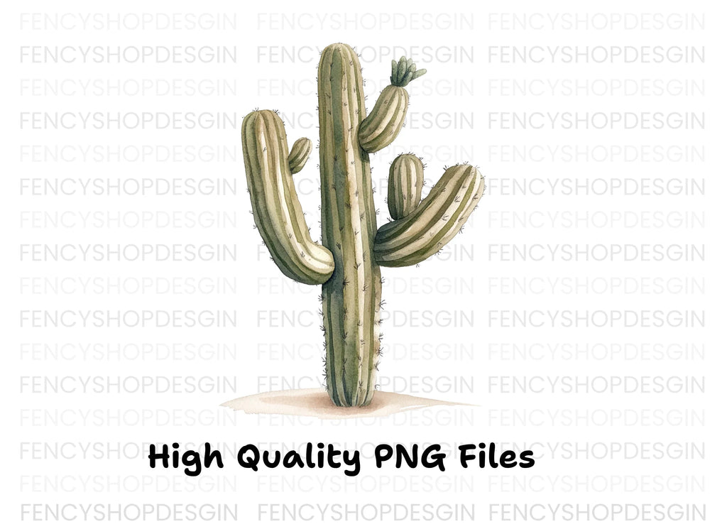 Desert Cactus Illustration Clipart Bundle