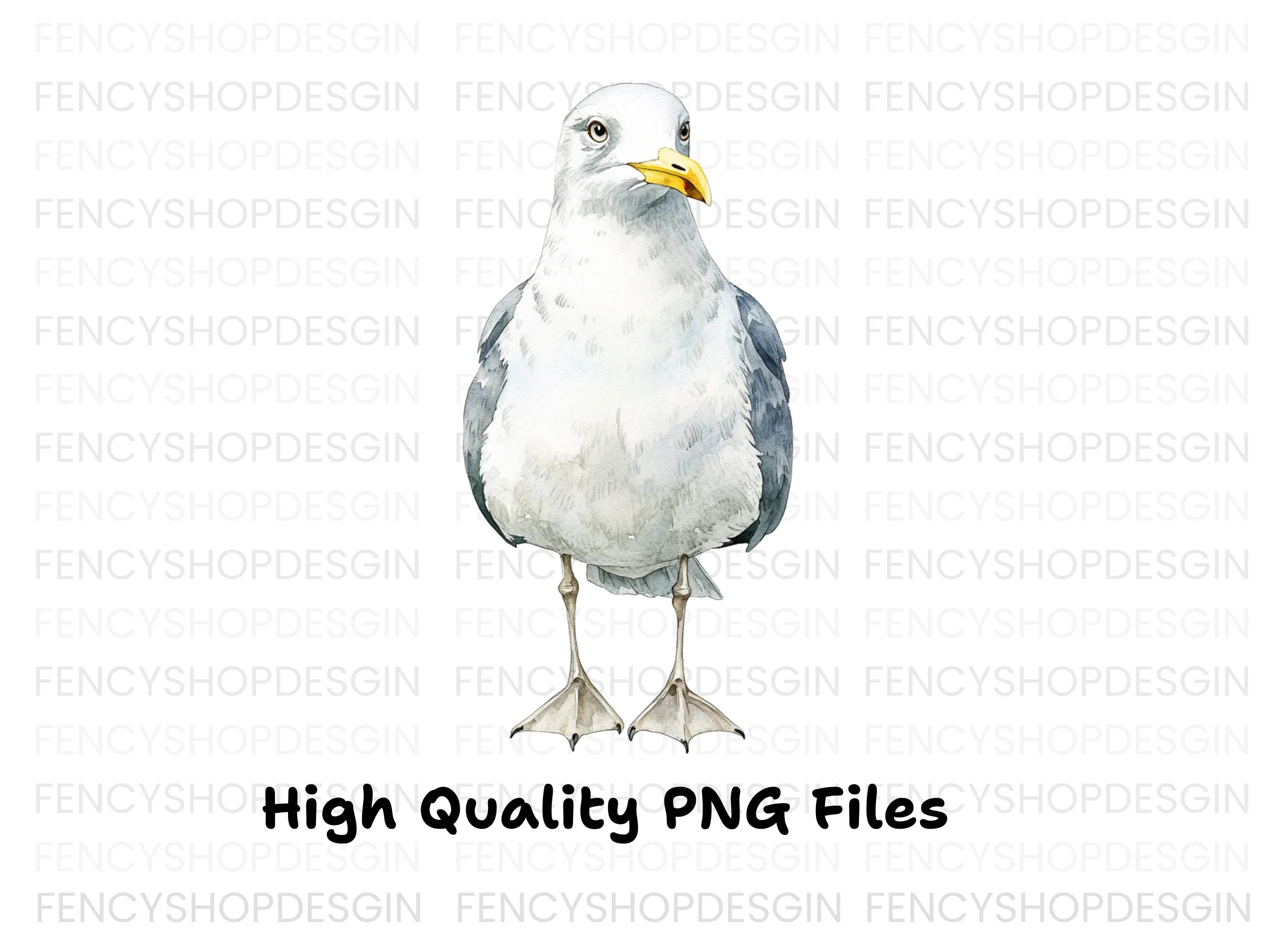 Seagull Illustration Clipart Bundle