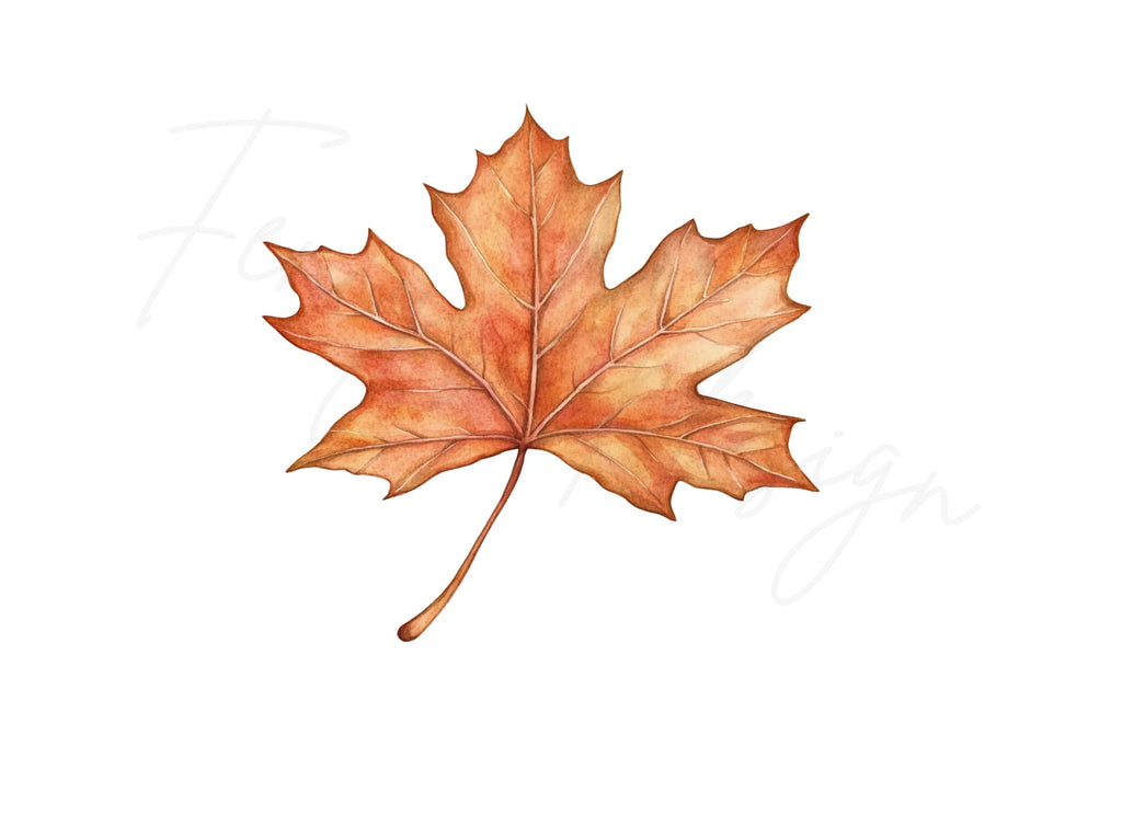 Autumn Maple Leaves Clipart Bundle
