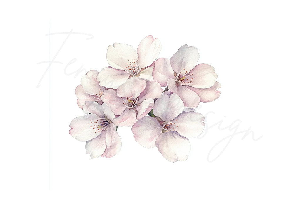Cherry Blossom Bloom Clipart Bundle