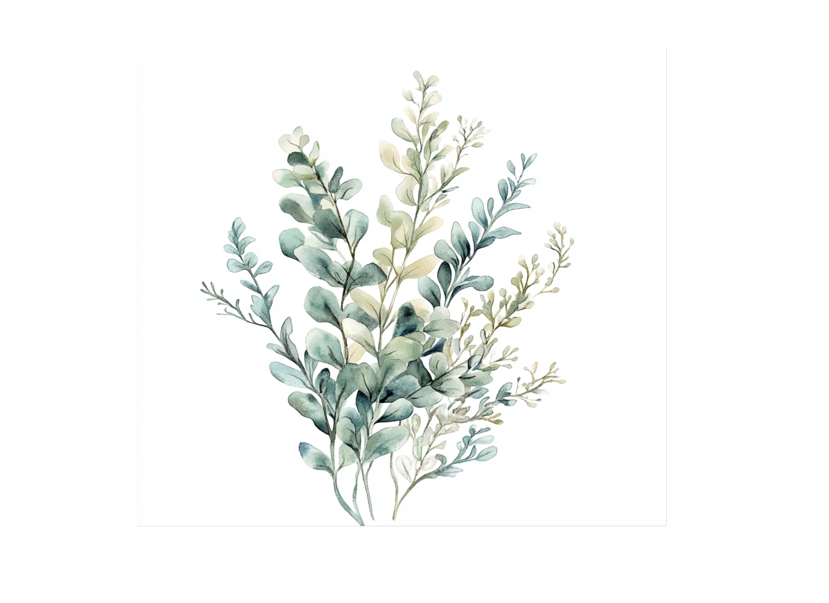 Eucalyptus and Sage Green Leaf Clipart Bundle