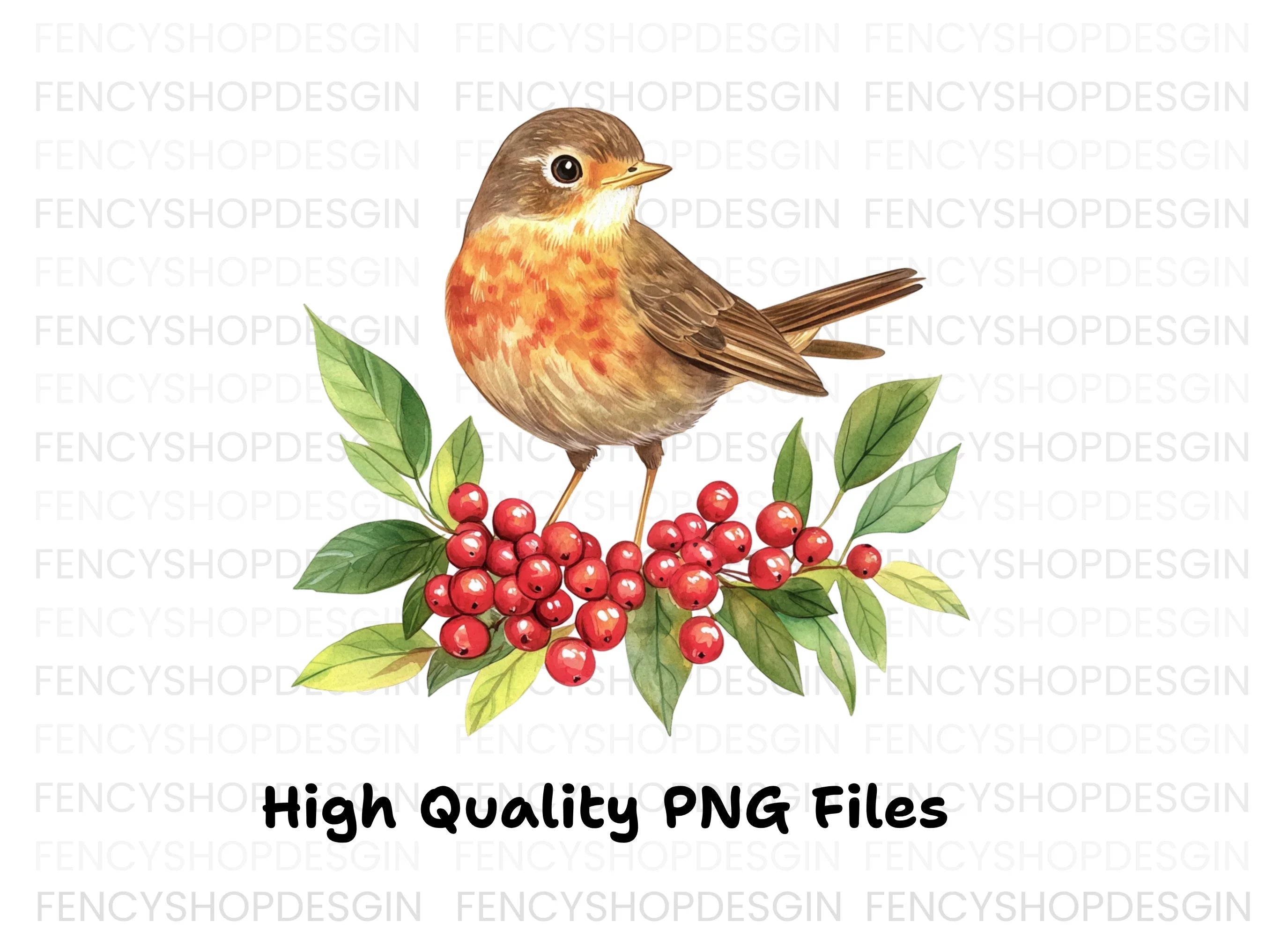 Robins Berries Clipart Bundle