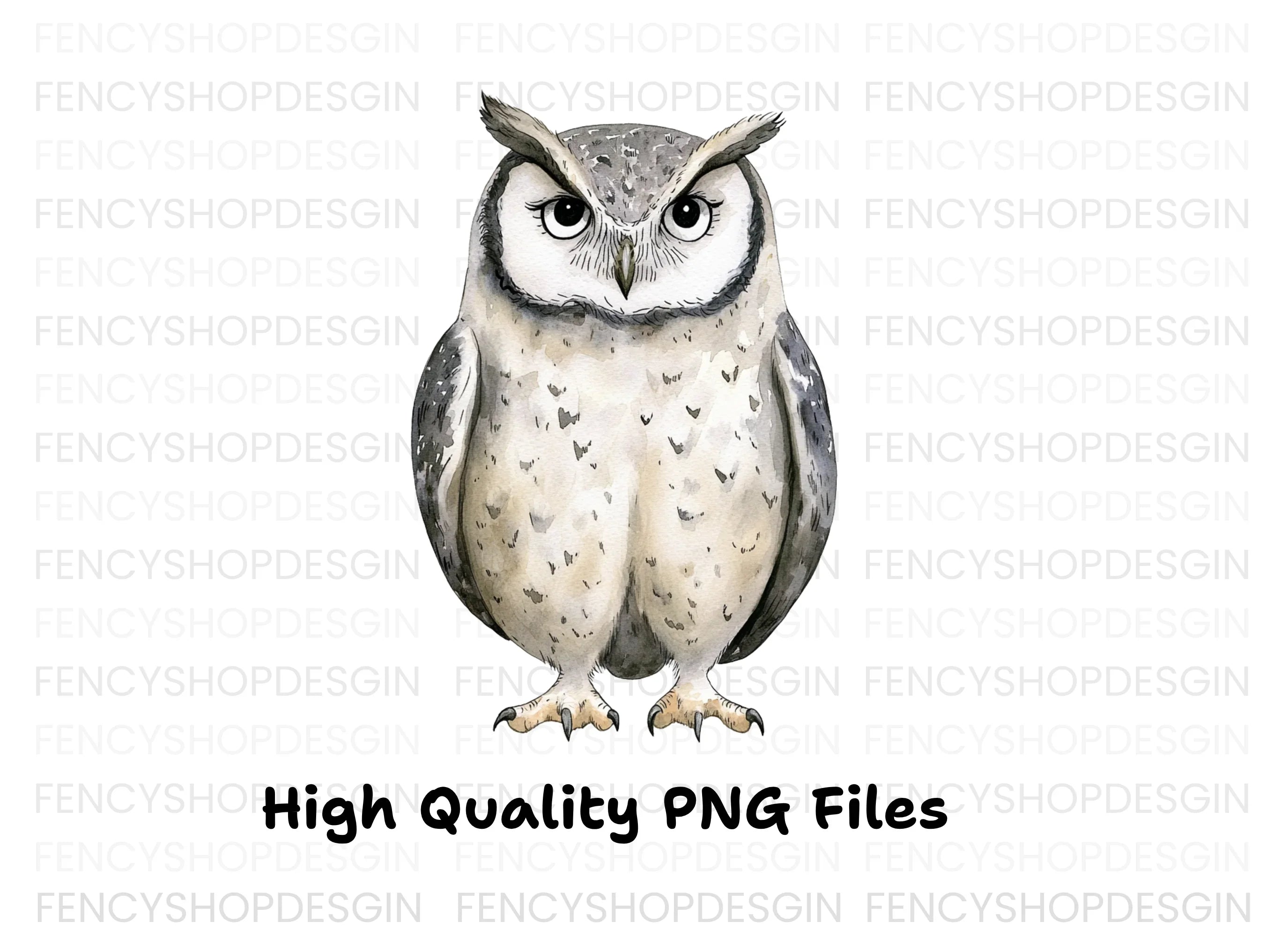 Cute Owl Clipart Bundle