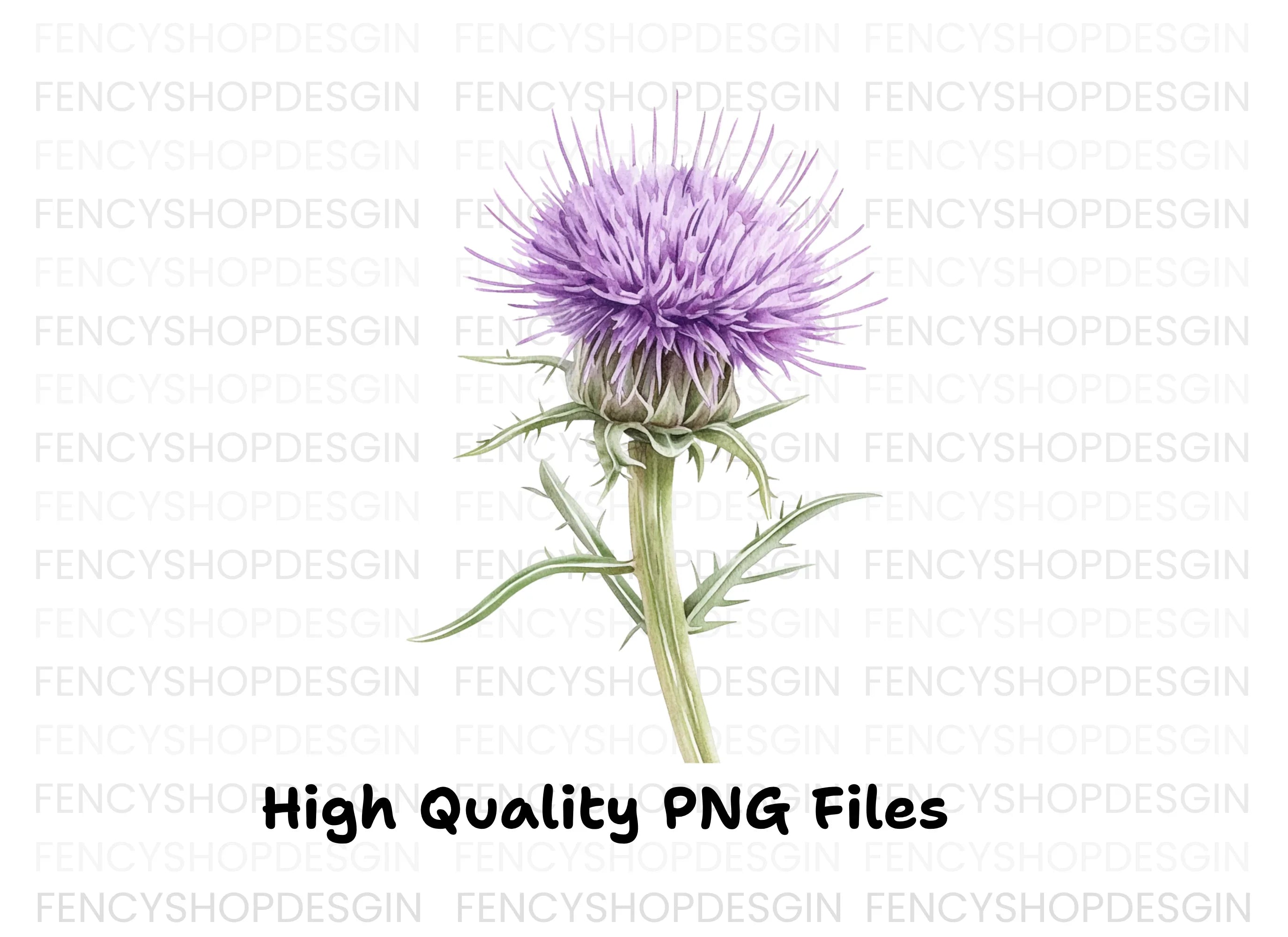 Thistle Plant Duo Clipart Bundle