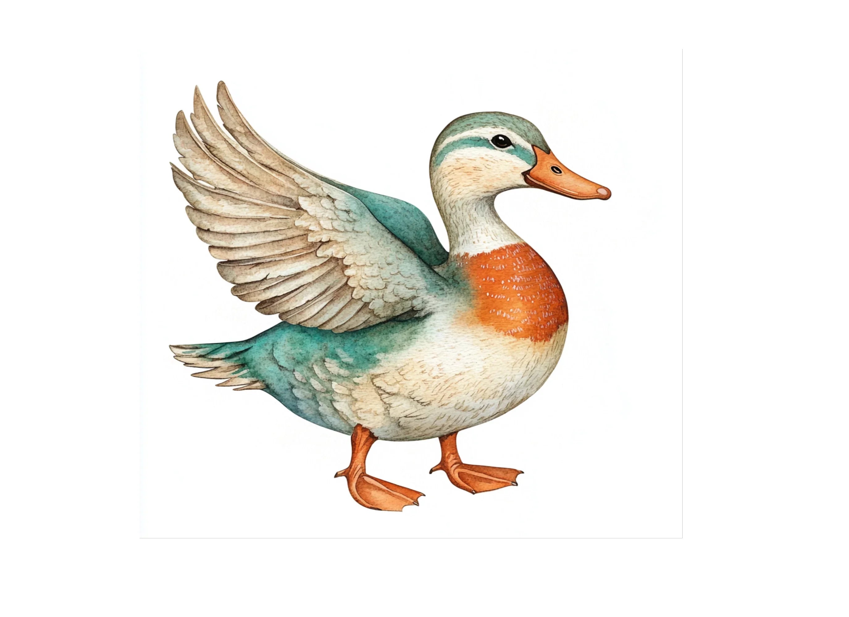 Cute Duck Clipart Bundle